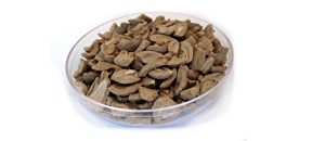 Μια αδικία στην αγορά θερμότητας της Ισπανίας σε βάρος του πυρηνόξυλου