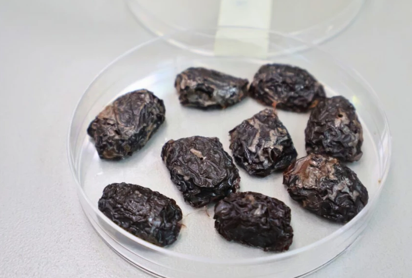 Από μη εμπορεύσιμες σε superfood ελιές