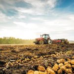 aade-anoigei-i-psifiaki-efarmogi-gia-ypefthyni-dilosi-katochis-agrotemachion-gia-tin-eae-2025-310883