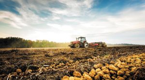 aade-anoigei-i-psifiaki-efarmogi-gia-ypefthyni-dilosi-katochis-agrotemachion-gia-tin-eae-2025-310883