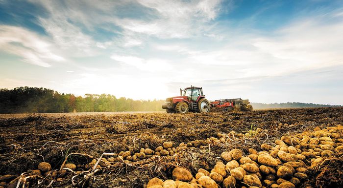 aade-anoigei-i-psifiaki-efarmogi-gia-ypefthyni-dilosi-katochis-agrotemachion-gia-tin-eae-2025-310883