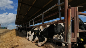 ΥΠΑΑΤ: Δεύτερο επιβεβαιωμένο κρούσμα αφθώδους πυρετού στη Λέσβο