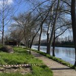 Το έλκος που ξηραίνει τα πλατάνια εμφανίστηκε στον Λουδία- Μέτρα στην Πέλλα