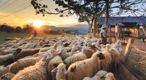 synecheia-ton-apolymanseon-se-16-stathmous-tis-kritis-sto-plaisio-ton-proliptikon-metron-gia-tin-evlogia-278534