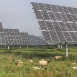 Μεγάλο ενδιαφέρον αγροτών για προσφυγή κατά του Δημοσίου για απώλειες σε μικρά φωτοβολταϊκά • Έλληνας Αγρότης