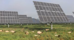 Μεγάλο ενδιαφέρον αγροτών για προσφυγή κατά του Δημοσίου για απώλειες σε μικρά φωτοβολταϊκά • Έλληνας Αγρότης