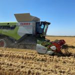 Στους Έλληνες Ευρωβουλευτές η τύχη του ρυζιού λένε ΣΟΕ-ΕΔΟΡΕΛ