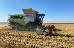 Στους Έλληνες Ευρωβουλευτές η τύχη του ρυζιού λένε ΣΟΕ-ΕΔΟΡΕΛ