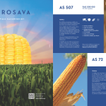 Κερδίζει στα σημεία λόγω σταθερής αγοράς και πριμ έως 90 ευρώ το καλαμπόκι