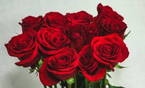 Εορτολόγιο: Ποιοι γιορτάζουν σήμερα, 8 Μαρτίου