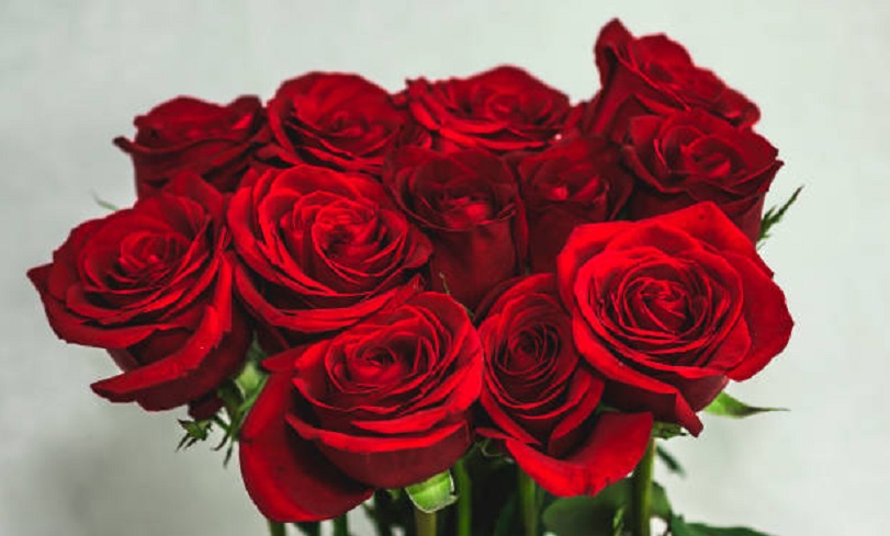 Εορτολόγιο: Ποιοι γιορτάζουν σήμερα, 8 Μαρτίου