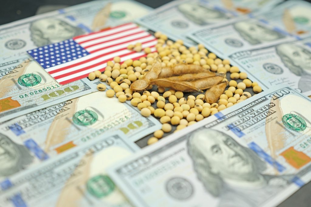 USDA: Περισσότερη σόγια και λιγότερο καλαμπόκι θα καλλιεργήσουν οι Αμερικανοί το 2026