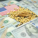 USDA: Περισσότερη σόγια και λιγότερο καλαμπόκι θα καλλιεργήσουν οι Αμερικανοί το 2026