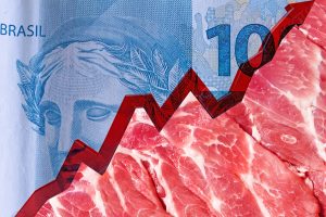 Κινήσεις αναπροσαρμογής της εξωστρέφειας στο εμπόριο κρέατος κάνει «ο γίγαντας» Βραζιλία
