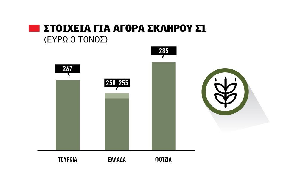 Έως 255 ευρώ ο τόνος FOB το σκληρό στα ελληνικά λιμάνια, στα 285 η Φότζια