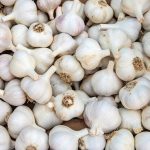 Σκόρδο: Στα ίδια επίπεδα οι καλλιεργούμενες εκτάσεις της χώρας