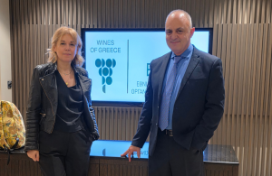 Νέος πρόεδρος της ΕΔΟΑΟ αναλαμβάνει ο Ιωάννης Σκούτας