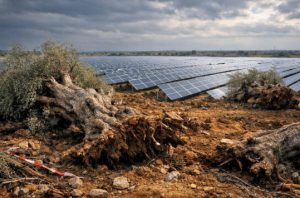 Το ασυμβίβαστο μεταξύ καθαρής ενέργειας και αγροτικής ανάπτυξης
