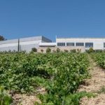 Ανεστάλη ο πλειστηριασμός για το δεύτερο οινοποιείο του «Κτήμα Σπυρόπουλος»