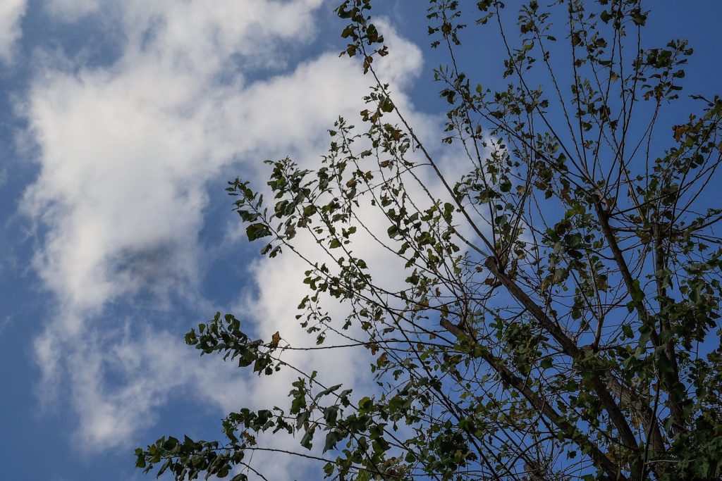 Καιρός: Αραιές νεφώσεις στις περισσότερες περιοχές - Πού θα βρέξει