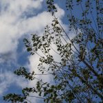 Καιρός: Αραιές νεφώσεις στις περισσότερες περιοχές - Πού θα βρέξει