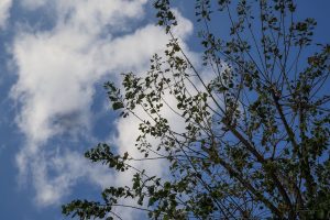 Καιρός: Αραιές νεφώσεις στις περισσότερες περιοχές - Πού θα βρέξει