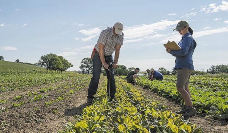 Γέφυρα 41,7 εκατ. ευρώ για πληρωμές Συμβούλων μέσω ΣΣ ΚΑΠ