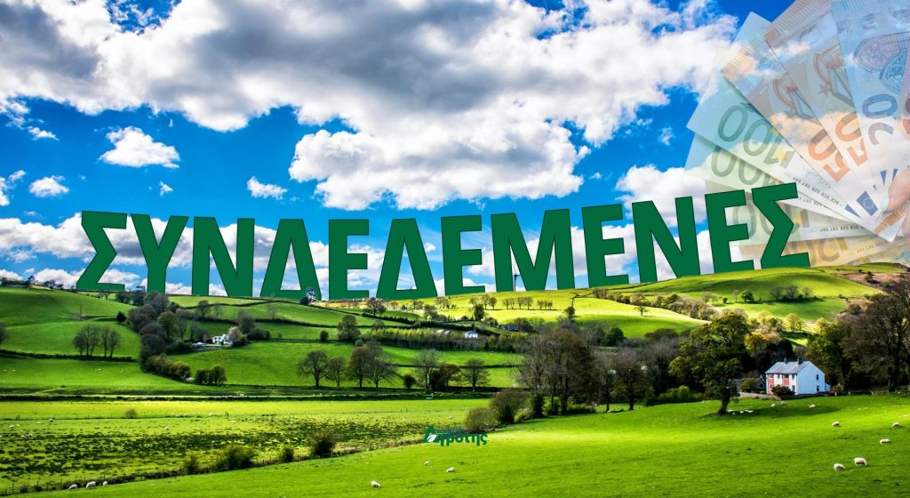 Με περιορισμούς και επιλεξιμότητα του 2024 η συνδεδεμένη καλαμποκιού - Έως και 63€ η πληρωμή • Έλληνας Αγρότης