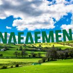 Με περιορισμούς και επιλεξιμότητα του 2024 η συνδεδεμένη καλαμποκιού - Έως και 63€ η πληρωμή • Έλληνας Αγρότης