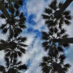 Ο καιρός της Δευτέρας, 23 Μαρτίου 2026