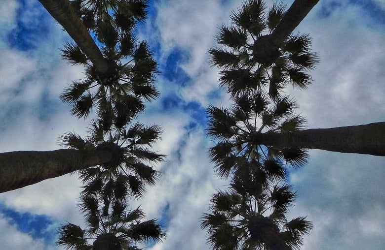 Ο καιρός της Δευτέρας, 23 Μαρτίου 2026