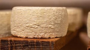 Σε ΦΕΚ οι αποζημιώσεις λόγω αφθώδους πυρετού στη Λέσβο