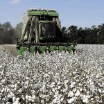 Συμφωνία Sipcam Ελλάς με Greenco για αποκλειστική διανομή ποικιλιών βαμβακιού