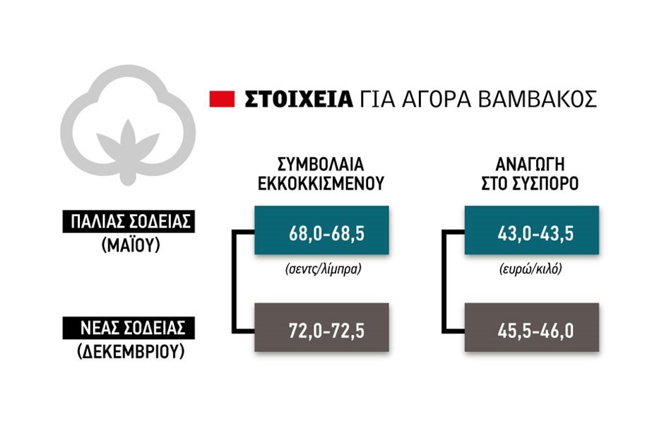Δείχνει ανθεκτικότητα το βαμβάκι, ευνοϊκό το κλίμα για διατήρηση της ανόδου