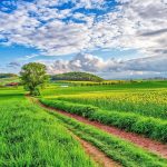 Καθυστερούν τα eco-schemes σύμφωνα με το χρονοδιάγραμμα της ΑΑΔΕ