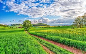 Καθυστερούν τα eco-schemes σύμφωνα με το χρονοδιάγραμμα της ΑΑΔΕ