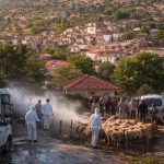 Σε αναβρασμό οι κτηνοτρόφοι στη Λέσβο λόγω αφθώδους, υποδοχή Τσιάρα με συλλαλητήριο
