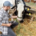 Έως 30 Απριλίου ανοικτή η πλατφόρμα τηλεκπαίδευσης ΕΛΓΟ-Δήμητρα για κτηνοτρόφους