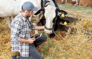 Έως 30 Απριλίου ανοικτή η πλατφόρμα τηλεκπαίδευσης ΕΛΓΟ-Δήμητρα για κτηνοτρόφους