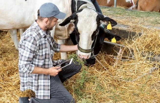Έως 30 Απριλίου ανοικτή η πλατφόρμα τηλεκπαίδευσης ΕΛΓΟ-Δήμητρα για κτηνοτρόφους