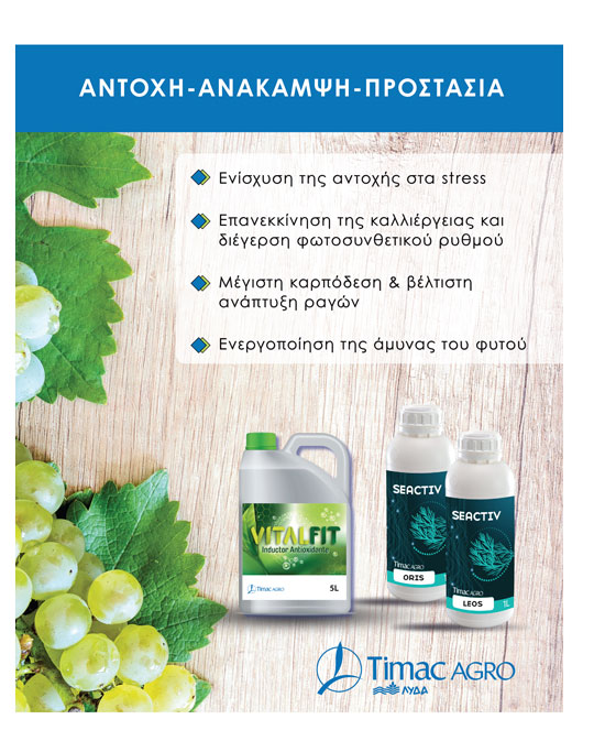 Προοπτικές για καλύτερες τιμές στο βαμβάκι μείωση ελληνικής παραγωγής 6,8% βλέπει το USDA το 2026/27