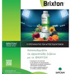 Αναγκαίος ο έλεγχος των ζιζανίων στα πρώτα στάδια ανάπτυξης για τις μέγιστες αποδόσεις στο βαμβάκι