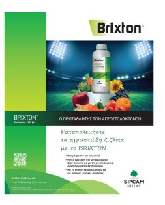 Αναγκαίος ο έλεγχος των ζιζανίων στα πρώτα στάδια ανάπτυξης για τις μέγιστες αποδόσεις στο βαμβάκι