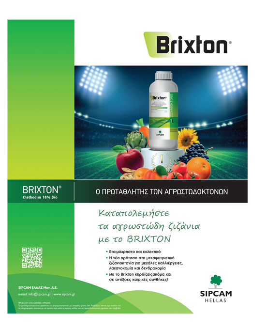 Αναγκαίος ο έλεγχος των ζιζανίων στα πρώτα στάδια ανάπτυξης για τις μέγιστες αποδόσεις στο βαμβάκι