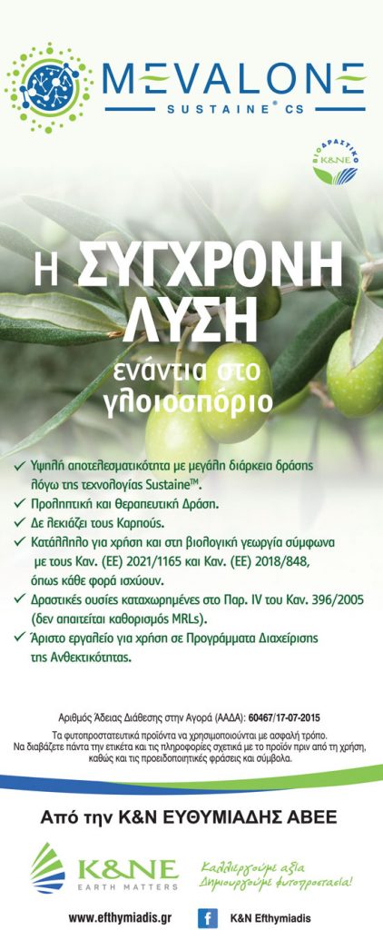 Έχει σημασία η θωράκιση της ελιάς στην ανθοφορία, ο ρόλος των βιοδιεγερτών - Ελαίας Καρπός