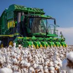 Πτώση 4% της παγκόσμιας παραγωγής του βάμβακος βλέπει η ICAC