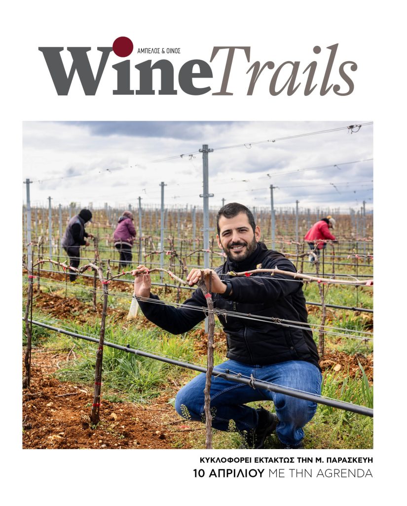 Προοπτικές ανόδου για το σκληρό, θετικά δείχνει να προχωρά η νέα σοδειά