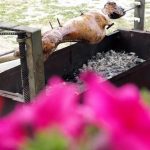 ΥΠΑΑΤ: «Μπλόκο» στις ελληνοποιήσεις και την αισχροκέρδεια