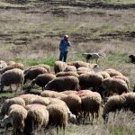 Η νέα λίστα των δικαιούχων εξισωτικής έτους 2025 που πληρώνονται άμεσα
