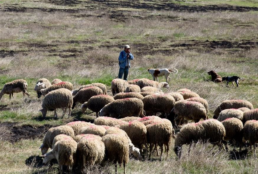 Η νέα λίστα των δικαιούχων εξισωτικής έτους 2025 που πληρώνονται άμεσα
